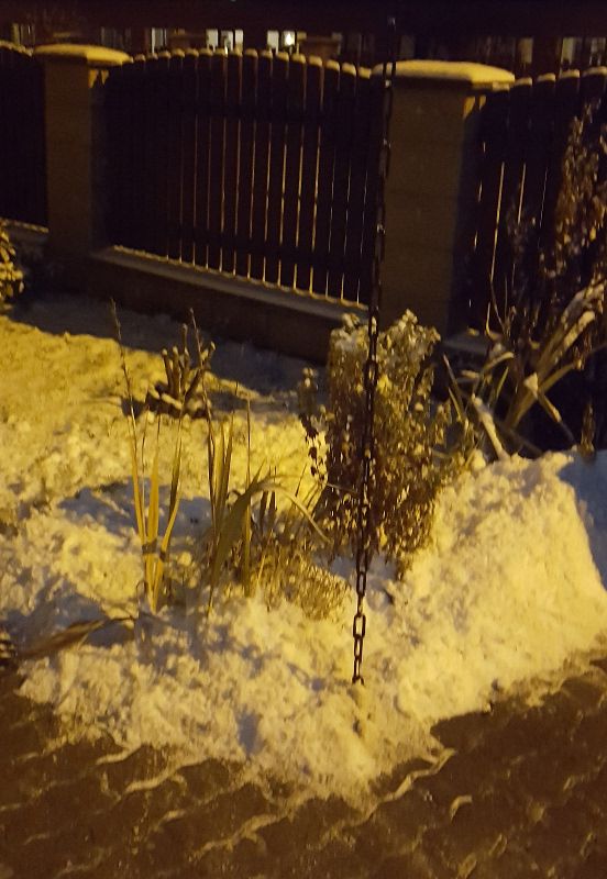 365/17 - 002 - KALAMITA