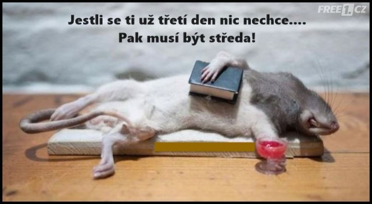 365/17 - 235 - STŘEDA