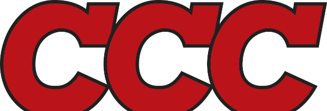 365/17 - 300 - CCC
