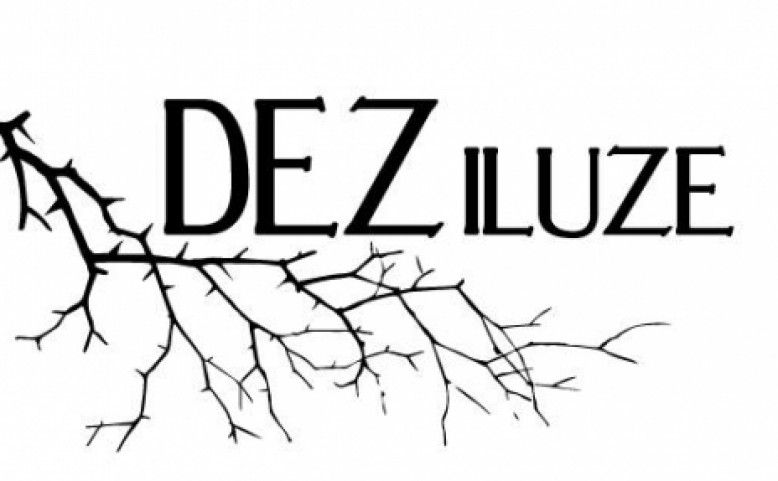 365/17 - 321 - DEZILUZE?