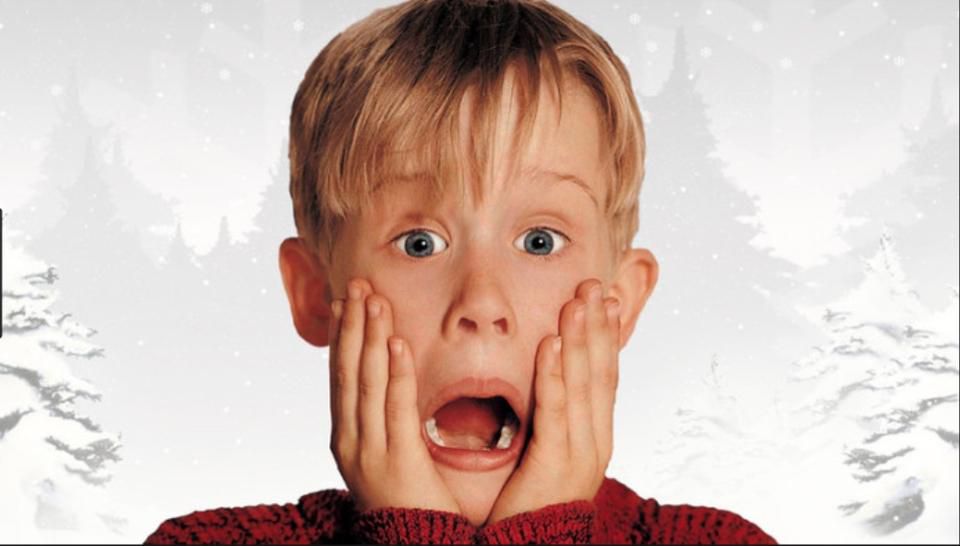 365/17 - 347 - HOME ALONE